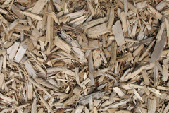 biomass boilers Woodmansgreen